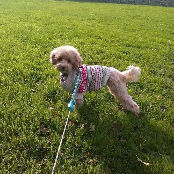 30f73218 b6d8 4406 b383 efec8fbd70c4