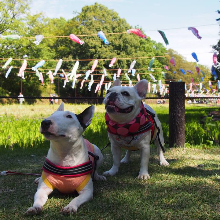 30f74026 171d 47d6 a026 7dd1225694f1