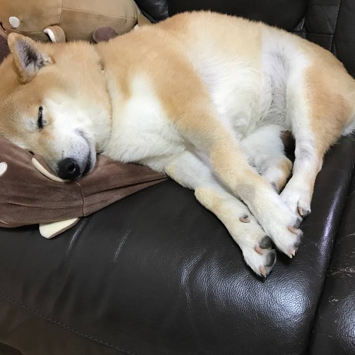 30f75720 887f 446d 8829 ae31c2ecdce6