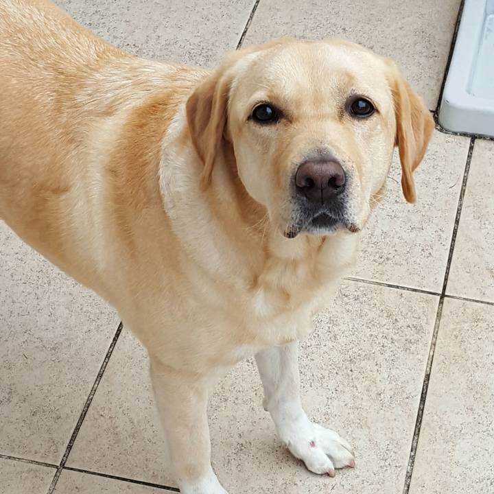 30f75e28 1c0e 406e 8087 a4ed62faf404