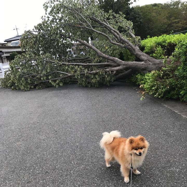 30f80655 9c1d 430c 9bf3 831954c98e44