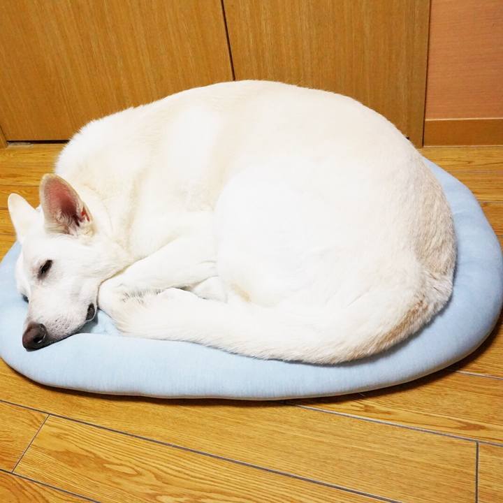 30f972ce 86ab 4a33 83b3 aceef812aee9