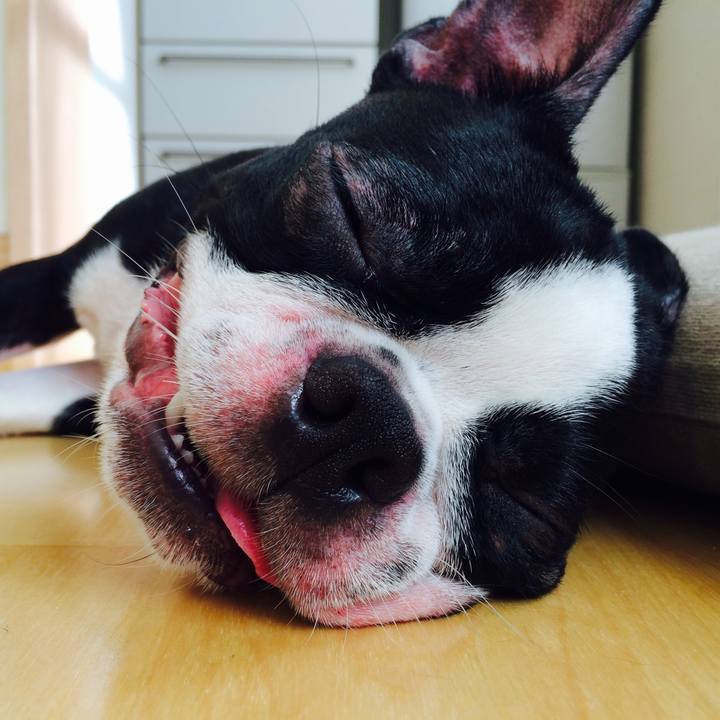 30f9fe05 3a26 414c 9d49 3cfcfd728fe0