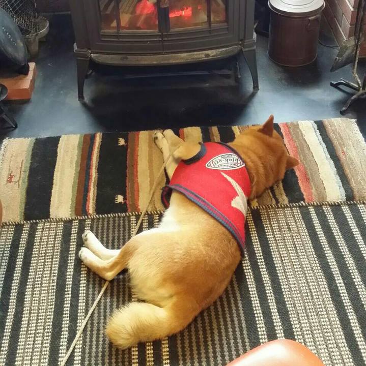 30fa1dc9 1c2d 43f3 91db db399a23f72d