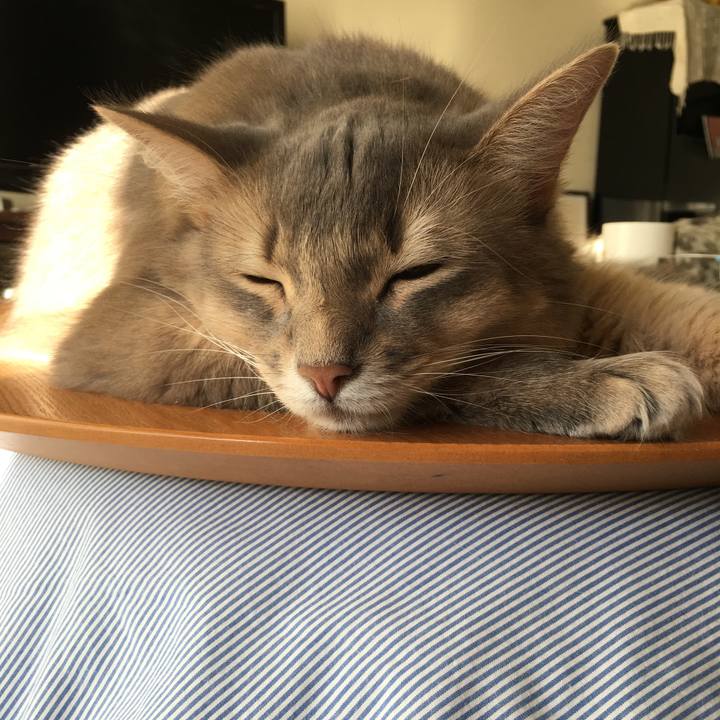 30fa5144 cd05 40bc adb9 d43a304d7fea