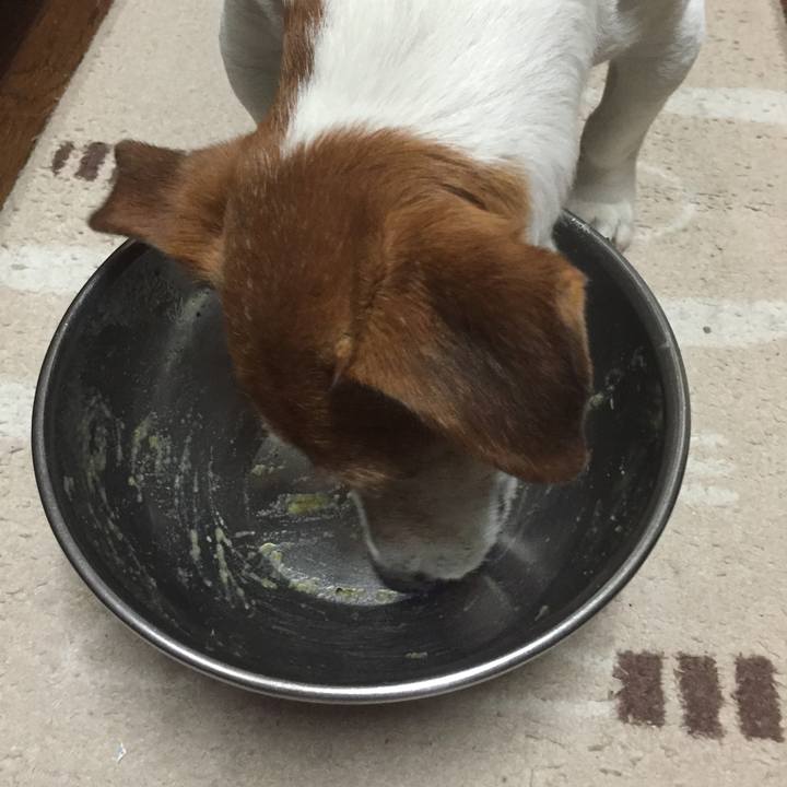 30faab26 ada1 4e56 85d1 1212410c3f3b