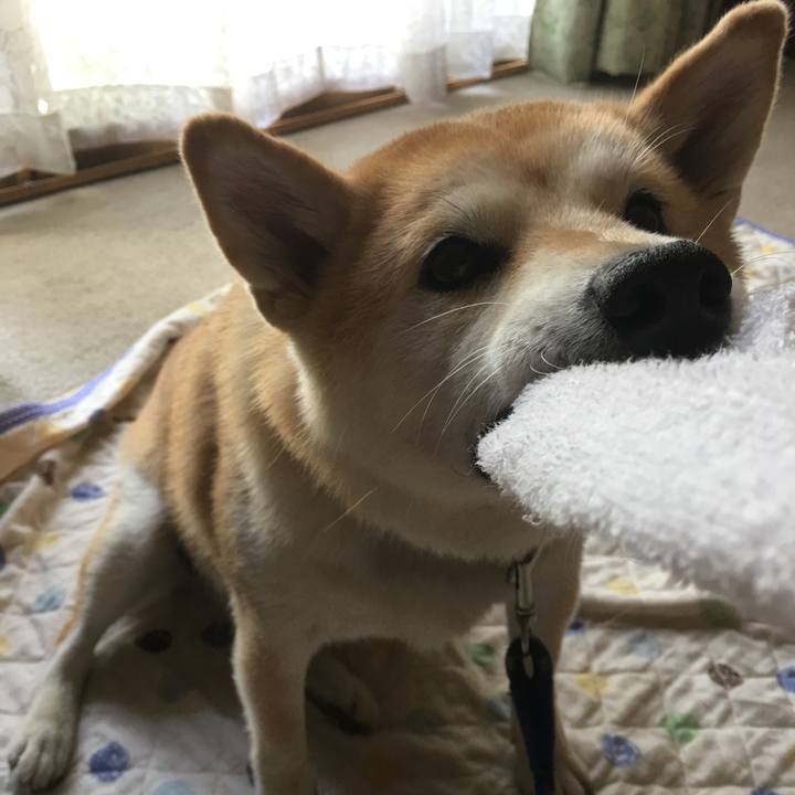 30fac113 0405 4bde 94fd db93059b258c