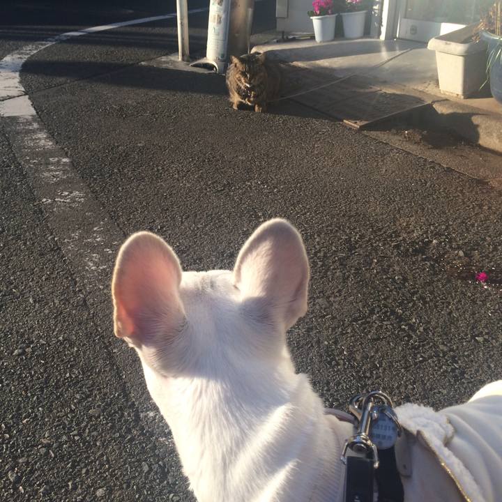 30faca20 46c4 4f2a a5f3 4cfdab403b8c