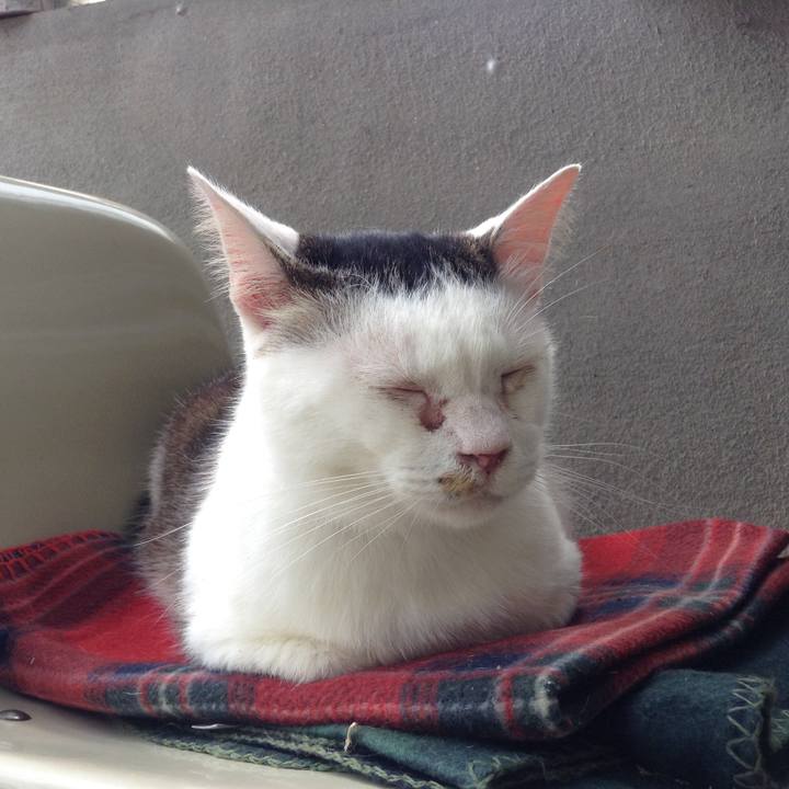 30fad728 9362 4d6d 90d7 ea5124df8a11