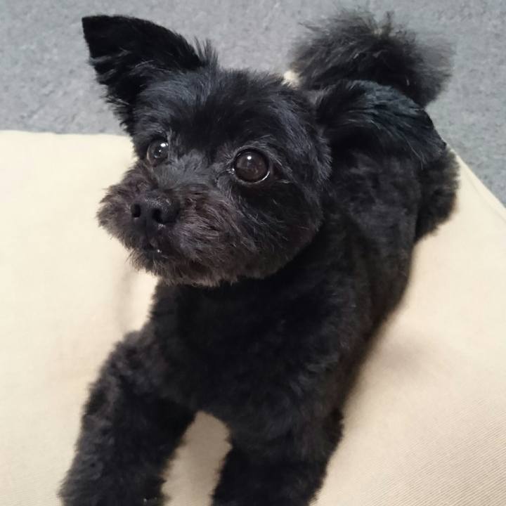 30fb1e60 e491 4a72 9ec0 099d9a775995