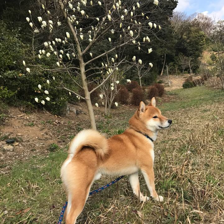 30fb2208 6432 4583 9f45 d96f7dbb4c92