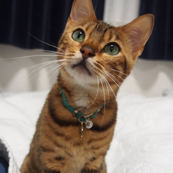 30fc07b5 cadc 4332 90b1 81195be81e69