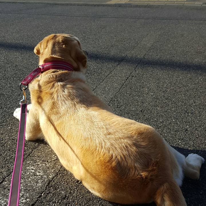 30fc1cdb 8c0d 47f8 ab84 367619ac352b