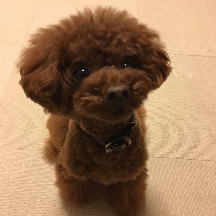 30fc4d1e cd2b 4c75 94ef 6ec76a18026a