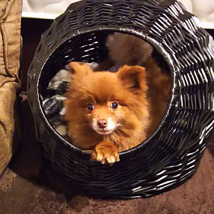 30fdd416 f666 4f1b 968c c0902e4a3447