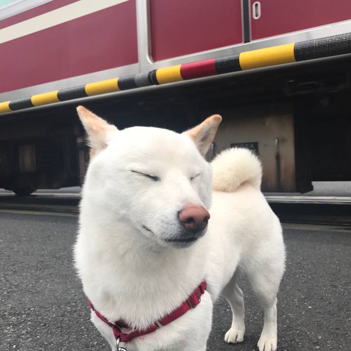 30fe259b 80fd 46b1 8c9b b867ed1bf46e