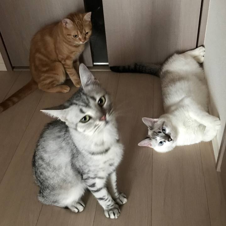 30ff8a7d 0fcf 4971 bc01 ac893a75b6a5