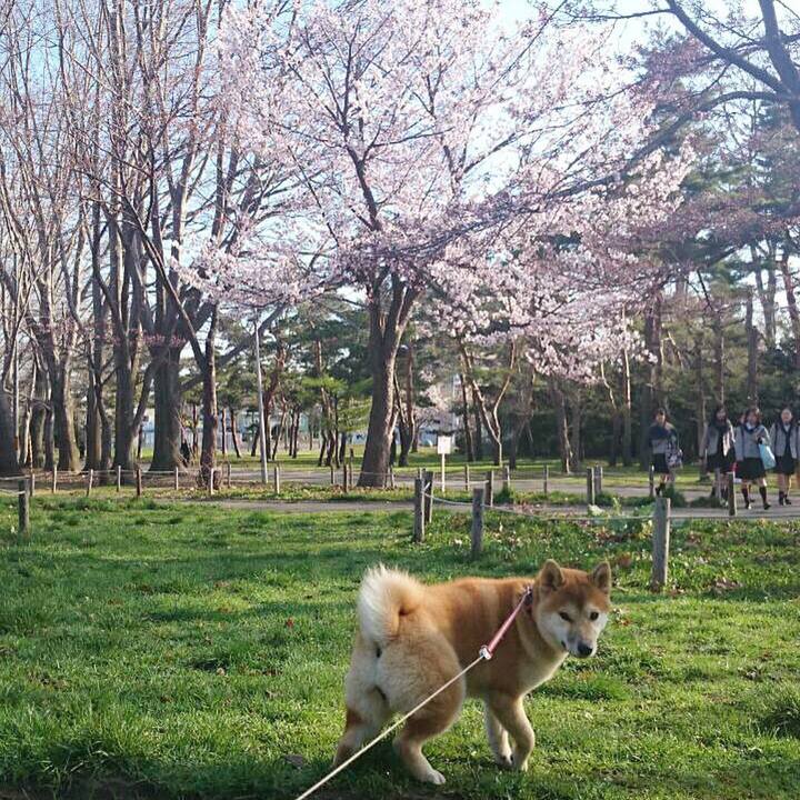 30ff958b 22d1 4d1a b6cb 3553d44f5036