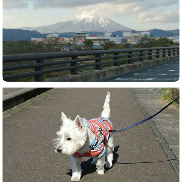 30ffc2c0 d0c4 4ec9 8522 d2607ccb1843