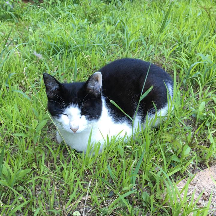 30fff314 34c8 4625 8851 5aacff40edb6