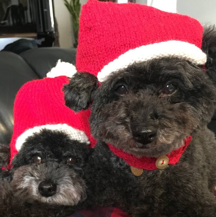 3100a995 edea 4986 9a06 62be5a52032f