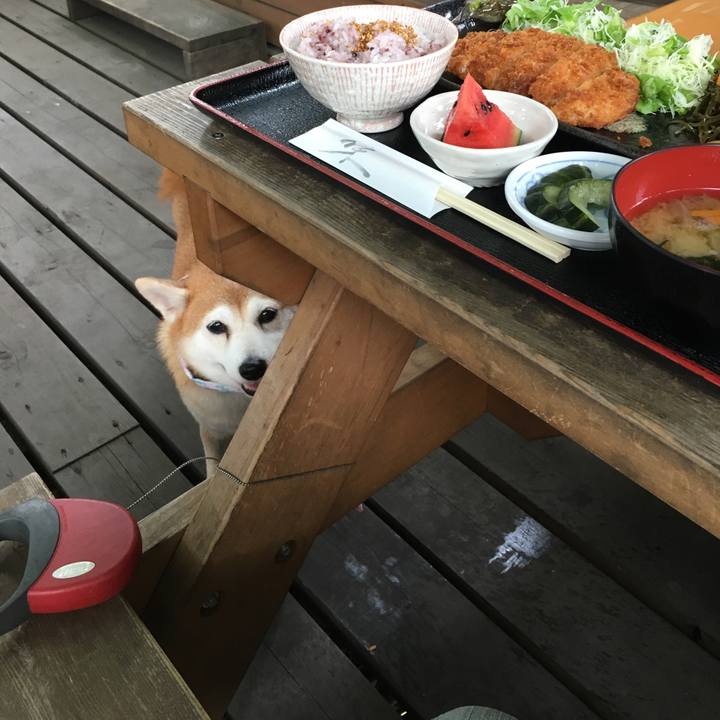 310129bd 5ea8 4670 926e aa83aeb53014