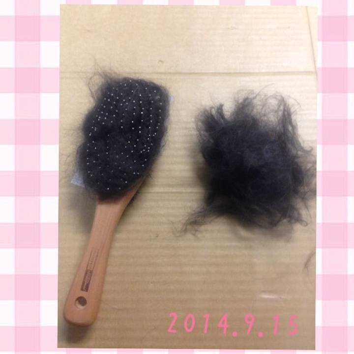 3101a017 f79a 43f0 a2e1 0b896327aadd