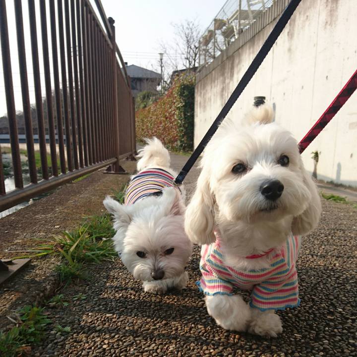 3101ca21 11f8 4bcf 9b17 8b8eb26df6c5