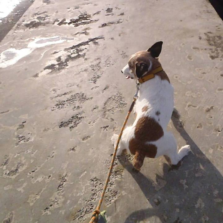 310206f0 c676 47dc b150 f2b8effe80fa