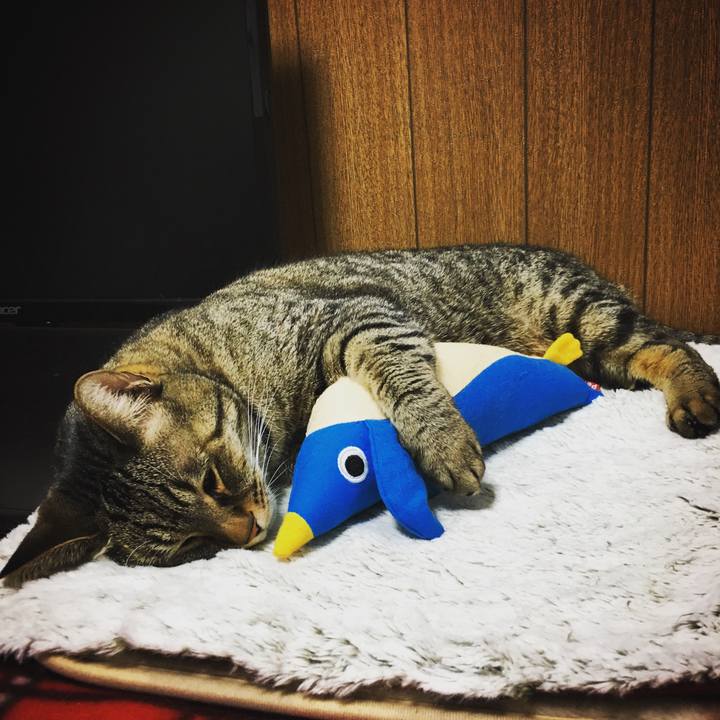 310238df b7c7 453d 9b80 6c3ac4ce6746