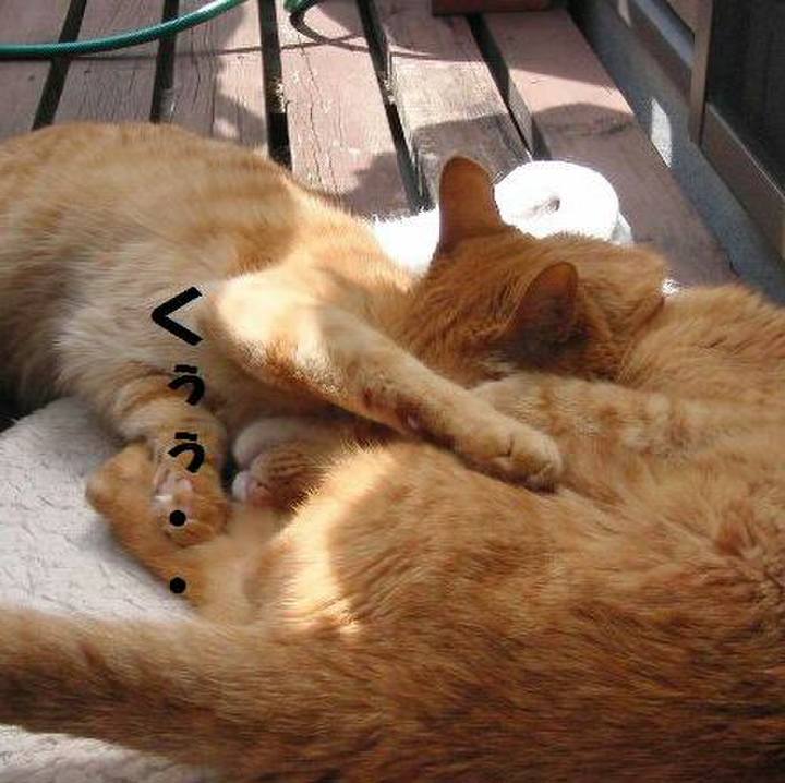 3102eec3 8906 4503 bd11 ab295647d184