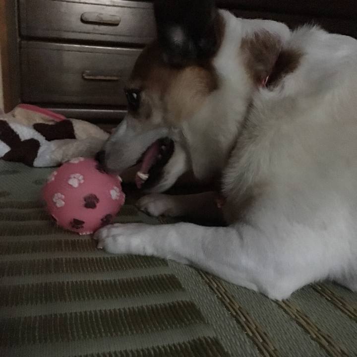 31030e43 a9a1 4940 b012 4717c0a904f6