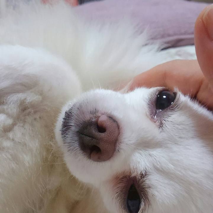 31031dce 4360 4678 9570 9f736dbad33b