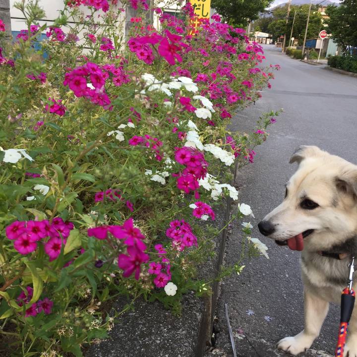 31034b21 90dd 47e9 ba72 09527f9fb99e