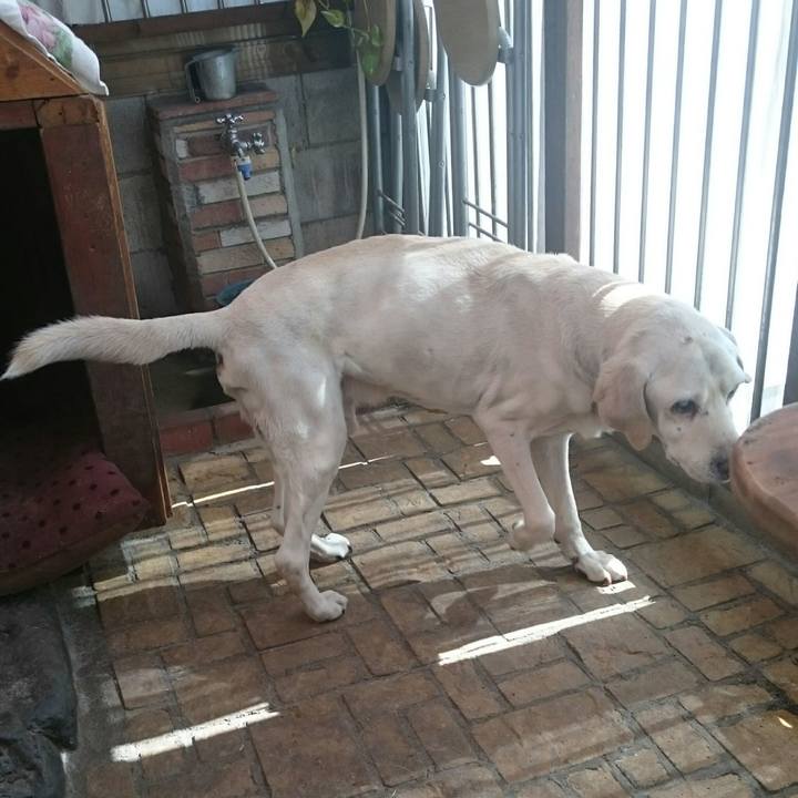 310388a5 547b 45cd bf51 e180800d186f