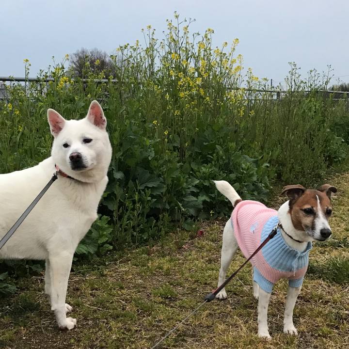 3103c325 2328 4d62 8493 1c922e4bc0dd