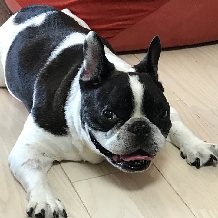 3103c938 250f 493d 82f7 0d18a1b42264