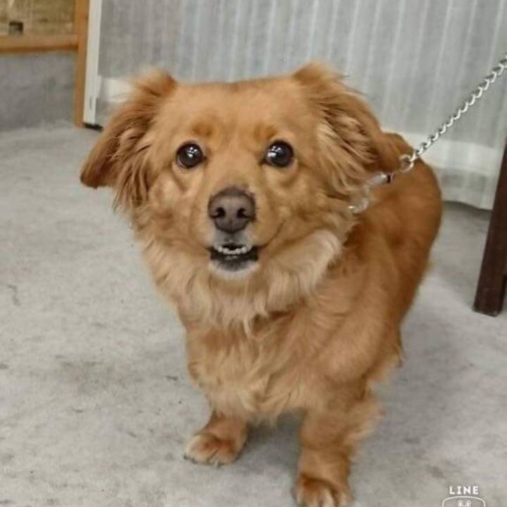 3103c9b5 bf86 4b51 9104 64b7232c220c