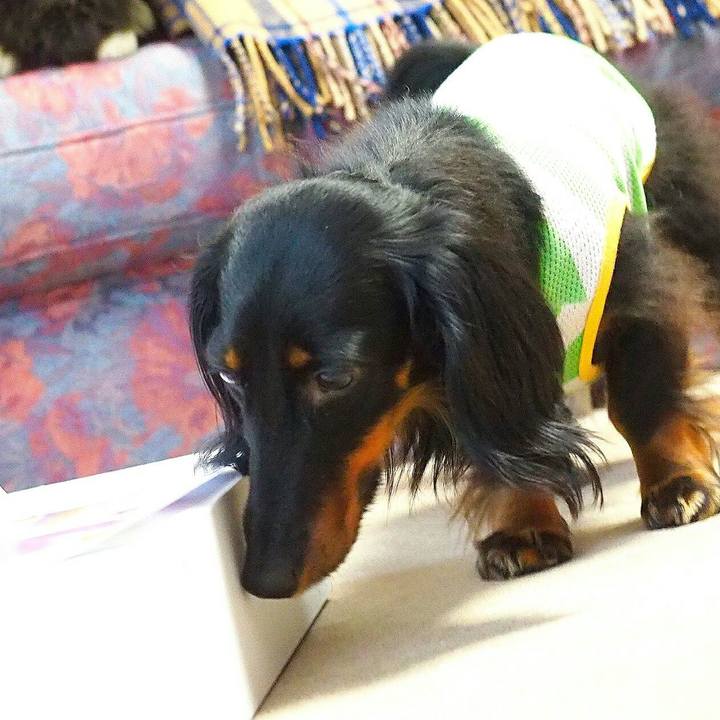 31047abf 072f 44de b35d f9efec84b28b