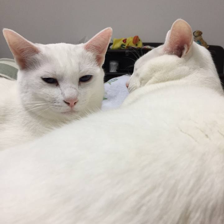 3104bcb2 9564 436b 8f15 f05fcbdb0aa2