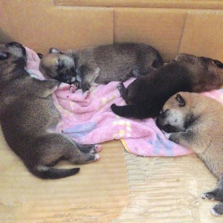 310575dd 34ed 44c3 93c0 74db68357135