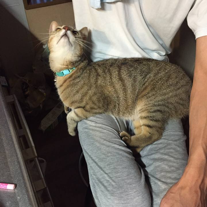 3106e064 e288 4d52 a792 adfdffc82115