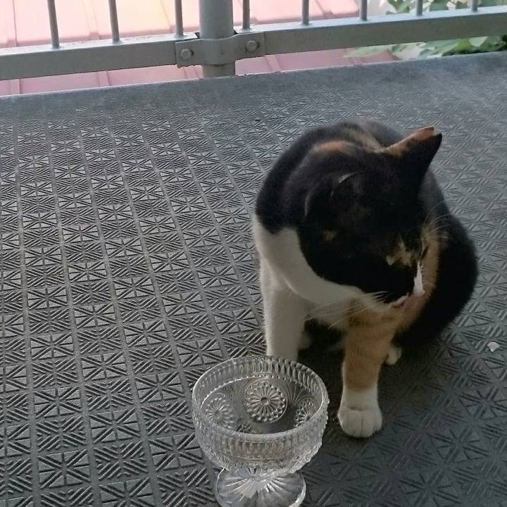 3106ff08 6912 4f03 9270 5f5cc423c0e6