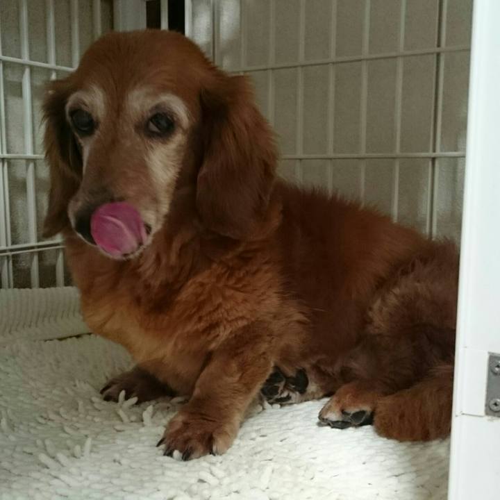 31077cb5 2fee 4ae3 a0a1 79f7d9e06bc7