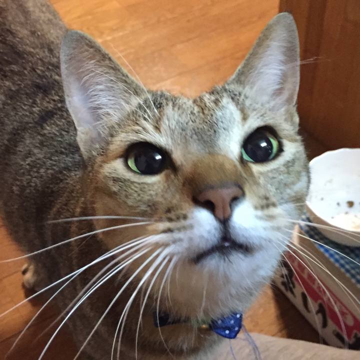 31078d69 05f3 452f 8909 4869cc550844