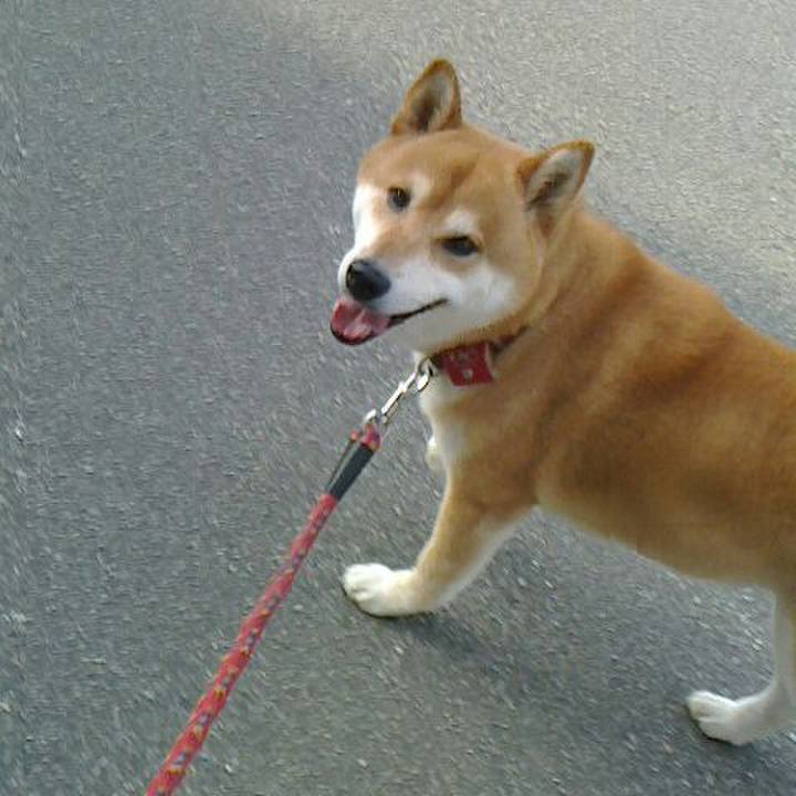 3107c7de 95b2 49c7 a542 b76250b31e21