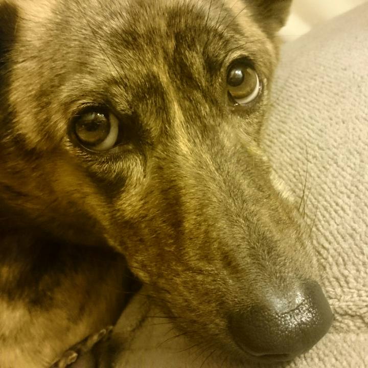 310804fa 400e 454e b4af 00ee5ada7e60