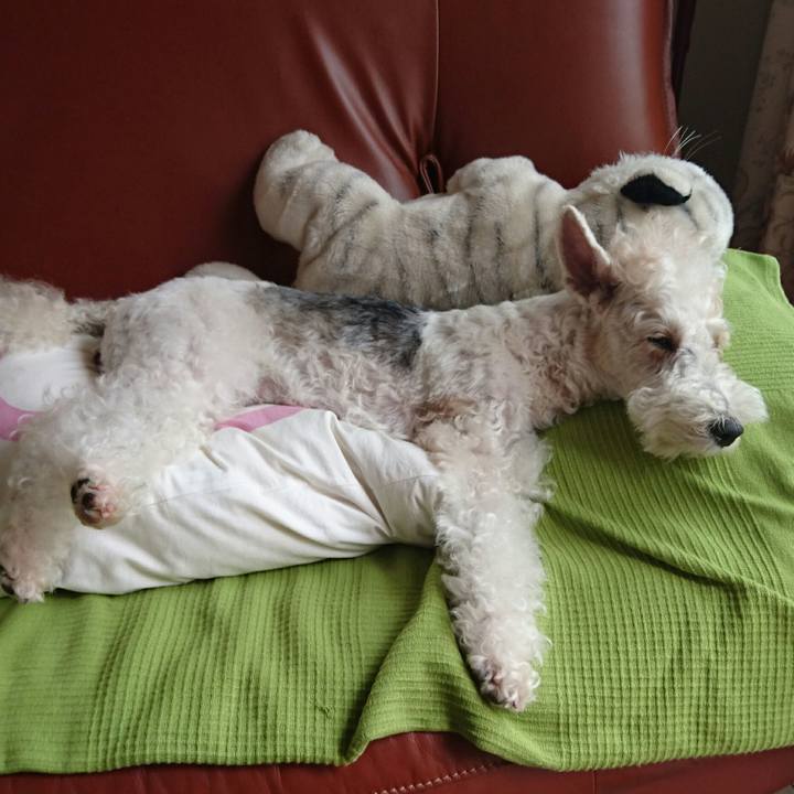 310843cb 8028 42ca bfa9 f538f22b076b