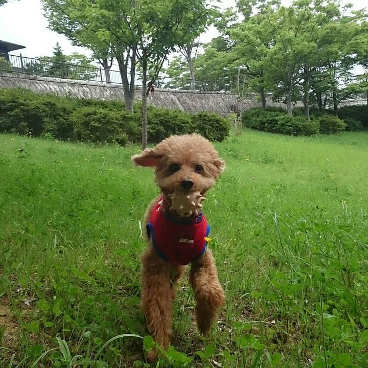 31089fb7 b3f4 4c65 9daa 232466eacb6d