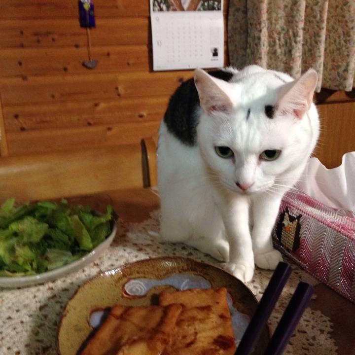 31091275 66ef 42f1 9cca 990574e76daf